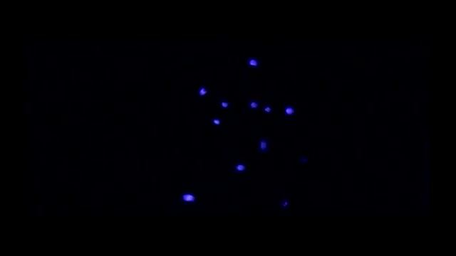 Никто Руслана Ганеева ЦИРК