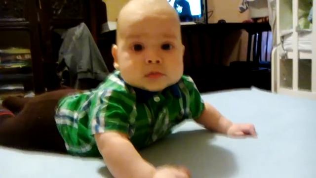 Егор-нерпа смотреть онлайн