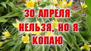 30 апреля. Нельзя, но я копаю