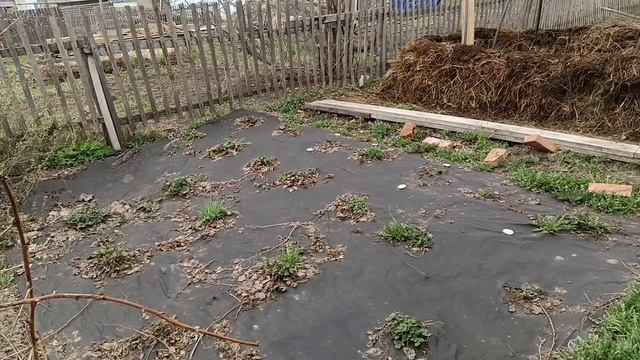 Огородные работы.Память моя девичья.Другой бы муж по макушке настучал.Жизнь в деревне.