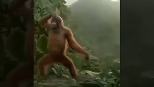 Прикольное видео про субботу 🤣🤣🤣