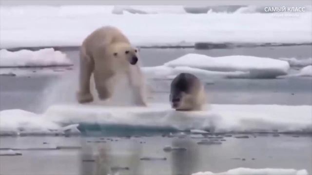 УЛЕТНОЕ ВИДЕО l ПРИКОЛЫ 2020 ИЮЛЬ l ОБЛОМЫ l ПРИКОЛЫ 2020 ИЮНЬ l УЛЁТНОЕ ВИДЕО #92