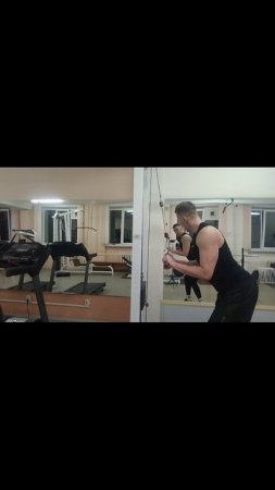 Трицепс с канатами TrainingFactory00