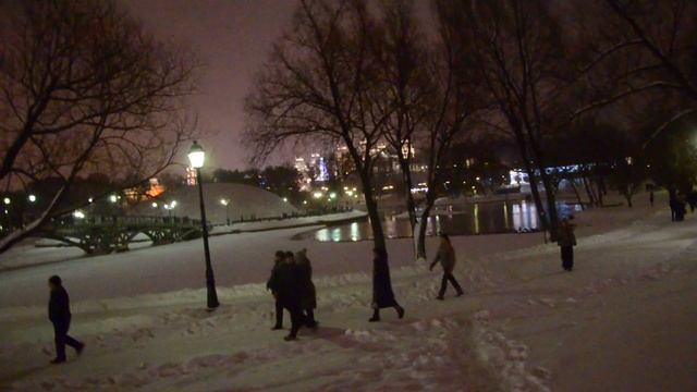 Свето - арки   Царицыно  Москва