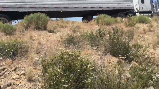 Дальнобой по США ехал ехал и нарвался на хорошую кафешку смотреть онлайн