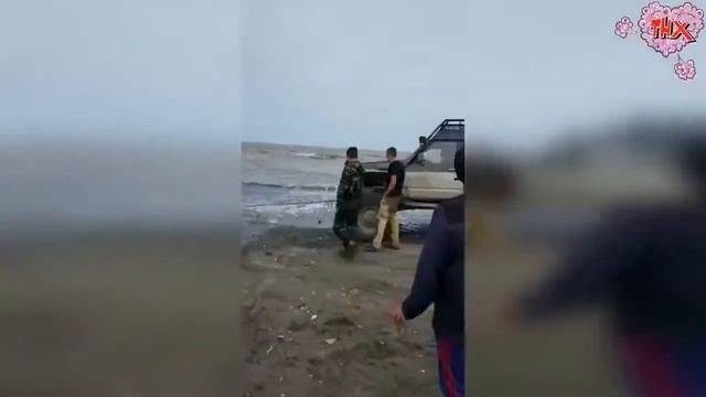 Лучшие Авто приколы! Приколы на дороге! Подборка приколов