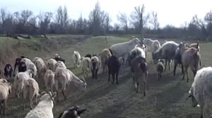 02.04.2025 Пожар