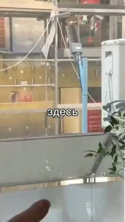 1000039249.mp4