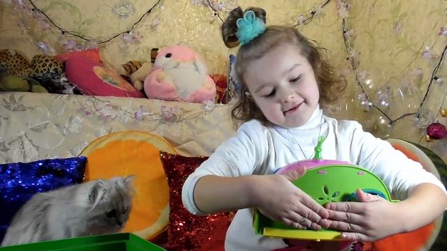 #Зоовыпуск. ИГРАЕМ С ХОМЯЧКОМ. Наши АХАТИНЫ отложили яйца? Питомцы.