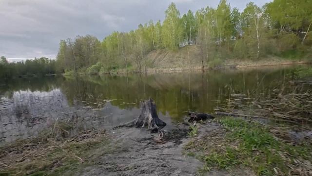 Дальнячок на Скутере ХОРС56 к лесным озерам и ручью...