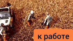 Приключения полковника Ариэля 2-ая часть "Покушение" .mp4