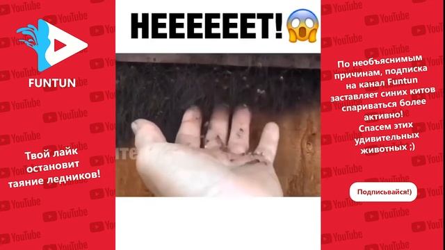 ПРИКОЛЫ 2018! ЛУЧШИЕ ПРИКОЛЫ!НОВЫЕ ПРИКОЛЫ! РЖАКА ДО СЛЕЗ.