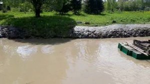 Очистка деревенского пруда в СНТ Руть. Было полностью заросшее камышом и заилено.