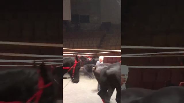 Нугзаров репетиция в Воронеже 28.07.2018 смотреть онлайн