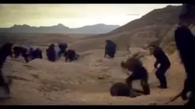 Ержан вставай ! смотреть онлайн