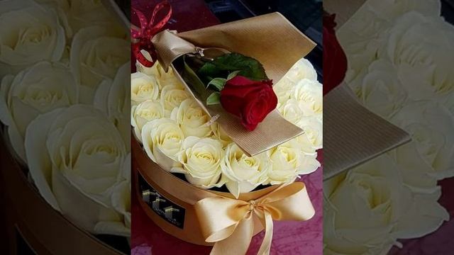 З ДНЕМ НАРОДЖЕННЯ. МИРУ ЗДОРОВЯ ДОСТАТКУ.