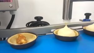 Депозитор кондитерский с транспортером Danler NFS-1000 C