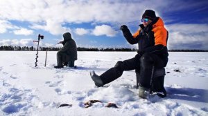 🎣 Рыбалка с комфортом? Легко — с Elway Energy Box E06!