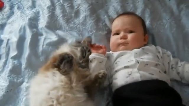 ЛУЧШИЕ ПРИКОЛЫ/ПРИКОЛЫ С КОШКАМИ/МАЛЕНЬКИЕ ДЕТИ И КОШКИ