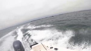 Bayliner Trophy 17 Yamaha 115 HP Safe Mode