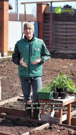 Что посадить в мае?!