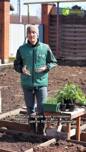Что посадить в мае?!