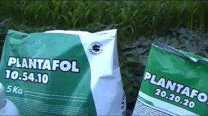 Оригінальні біо стимулятори і мікродобрива VALAGRO - FORCROP які  працюють