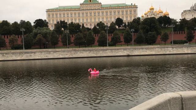 Парень на розовом фламинго возле Кремля смотреть онлайн