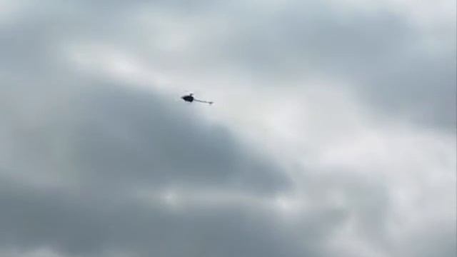 Mikado Logo 600 crash