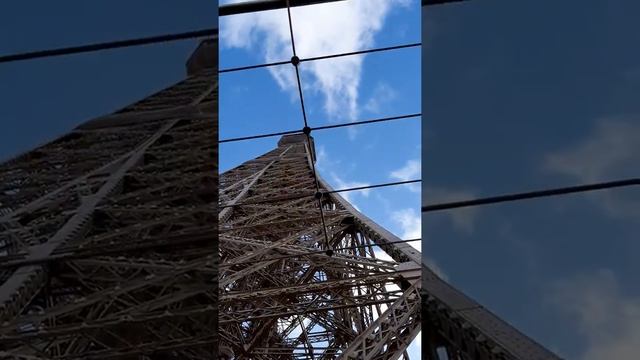 Эйфелева башня второй ярус 17 февраля 2020 г.(3)