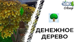 Денежное дерево в Симс 4