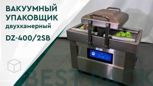 Вакуумный упаковщик DZ-400/2SB, двухкамерный