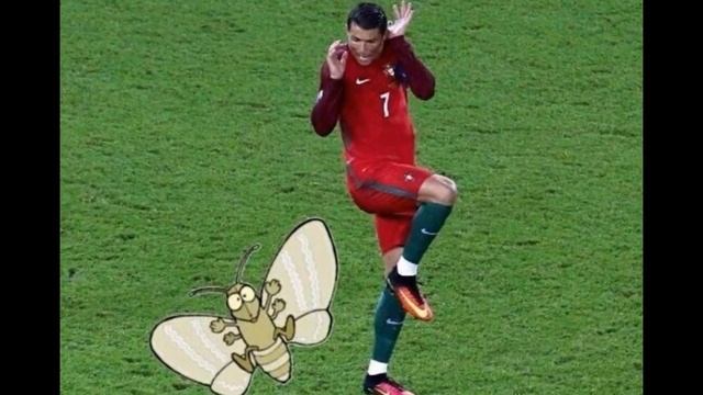 The Ronaldo Moth Мотылек Рональдо стал супер мемом смотреть онлайн