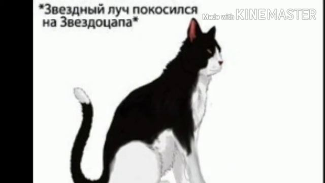 Коты-Воители • Приколы 2# смотреть онлайн