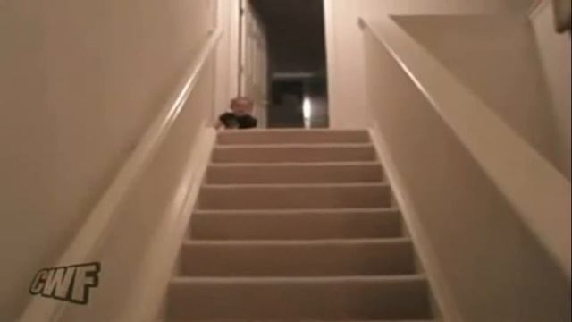 прикольные дети  прикольные дети