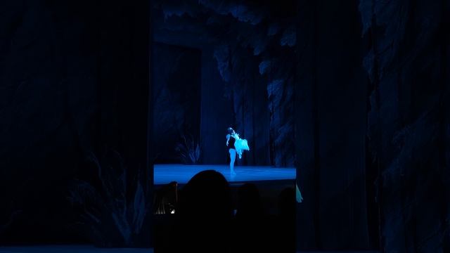 О. Сизых А. Мкртчян. Фрагмент из балета А.Адана Жизель 7. 19.01.24