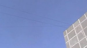 Мариуполь.Николаевские голуби.Прокопчук Г.И. -1