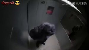 Говорящий лифт Пранк