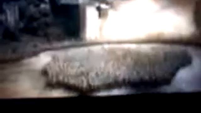 Властелин колец ПРИКОЛ смотреть онлайн