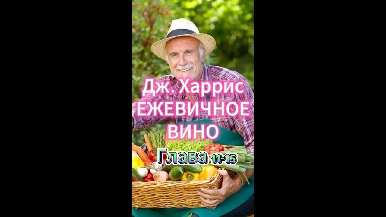 Джоанн Харрис. Ежевичное вино. Главы 11-15 / Слушать онлайн бесплатно аудиокниги /Творческая Находка