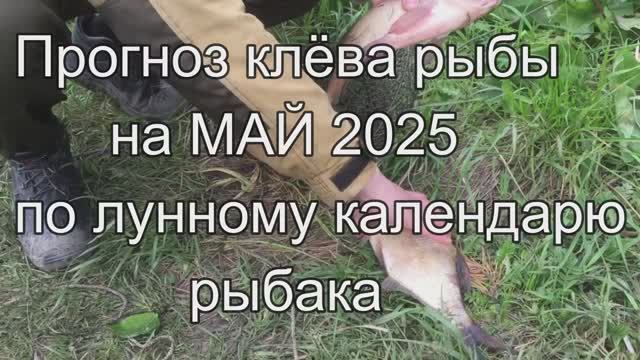 Календарь рыбака на МАЙ 2025 Прогноз клева рыбы Лунный Календарь рыбака на май