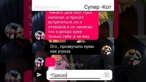 ЛедиБаг и Супер- кот//ПЕРЕПИСКА "МЕСТЬ"1 часть
