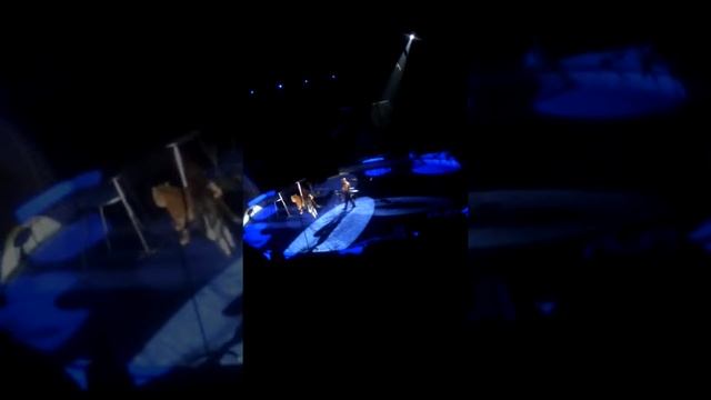 Тигры Багдосаровых смотреть онлайн