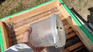 Весенняя подкормка пчёл из пластиковой баночки.