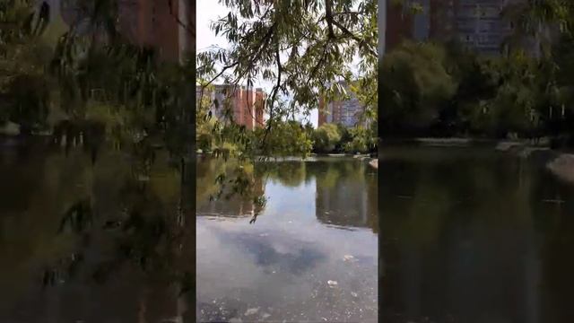 Утята в прудике смотреть онлайн