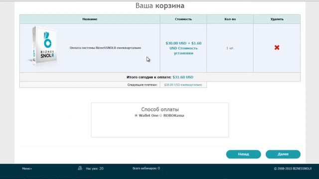 BizneSSNOLЯ 010 Начать бизнес, оплата системы