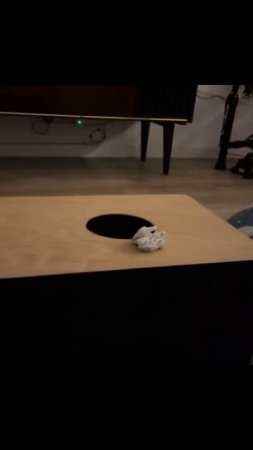 Котики (45)