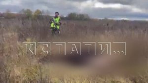 Закрытую гуманность продемонстрировал суд в деле о банде браконьеров из полицейских и уголовников