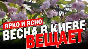 🌺ИЗУМИТЕЛЬНЫЕ_КРАСКИ_И_ЗАПАХИ_ВЕСТЬ_О_НЕБЕСАХ!🌼🌳🌞(28.04.25)