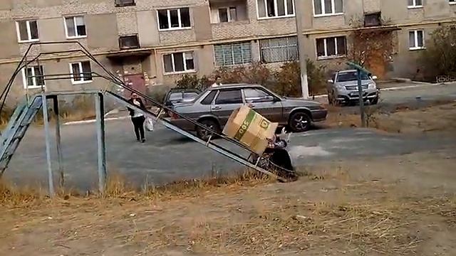 Пойман прикольщик смотреть онлайн